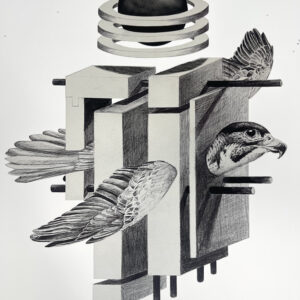 "development" 11x14 (print)