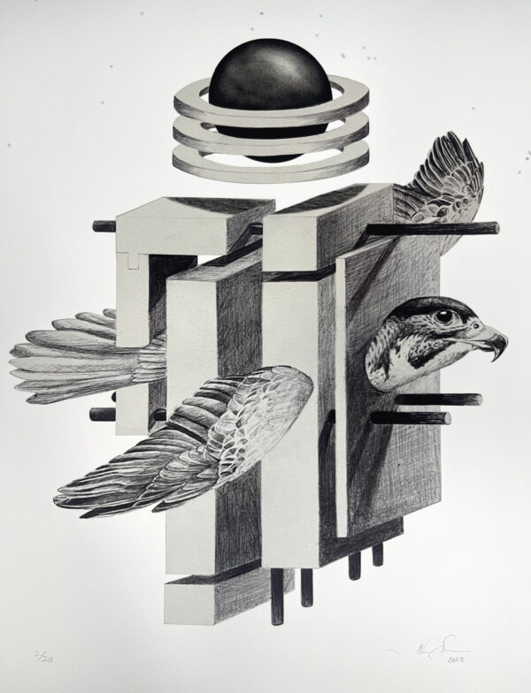 "development" 11x14 (print)